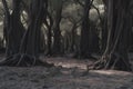 Spooky Halloween dead mysterious forest creepy trees with twisted roots and two lizard on misty night forest. Scary Royalty Free Stock Photo