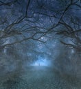 Spooky Halloween forest at night ghostly figure Royalty Free Stock Photo