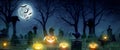 A spooky Halloween graveyard with pumpkins, bats, a black cat, full moon and green mist