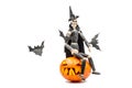 Spooky halloween pumpkin with bats on white background