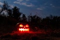 Spooky Halloween pumpkin jack-o-lantern with burning candles in scary forest at night Royalty Free Stock Photo