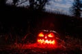 Spooky Halloween pumpkin jack-o-lantern with burning candles in scary forest at night Royalty Free Stock Photo