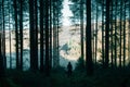 A spooky hooded figure silhouetted in a dark pine forest