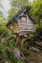 Spooky hut on a tree stump in forest. The concept of camping and the magical house of Baba Yaga from Slavic mythology Royalty Free Stock Photo