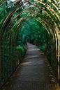 Spooky iron path through the woods of the park of Majolan, Blanquefort Royalty Free Stock Photo