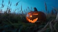 Spooky Jack-O-Lantern in a Field Royalty Free Stock Photo