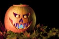 Spooky Jack OÃÂ´Lantern halloween pumpkin on dry leaves
