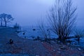 Spooky Lake - Italy Royalty Free Stock Photo