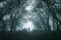 A spooky lone hooded figure on a path in a foggy forest in winter with a dark muted edit