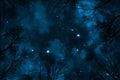 Spooky low angle view trough trees to starry night sky with blue nebula Royalty Free Stock Photo