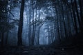 Spooky misty rainy forest