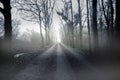 Spooky Mystery dark fog forest road Royalty Free Stock Photo