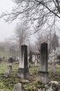 Spooky old graveyard detail Royalty Free Stock Photo