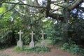 A spooky old graveyard with three stone crosses in a forest Royalty Free Stock Photo