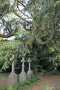 A spooky old graveyard with three stone crosses in a forest Royalty Free Stock Photo