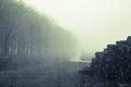 A spooky path on the edge of woodland next to a pile of logs. On a gloomy, foggy, winters day. With a vintage, grunge, muted edit Royalty Free Stock Photo