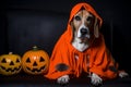Spooky portrait of an Beagle (dog) in a Halloween setup in studio, dramatic lighting. Created with generative AI Royalty Free Stock Photo