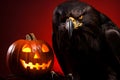 Spooky portrait of a raven or crow in a Halloween setup in studio, dramatic lighting. Created with generative AI