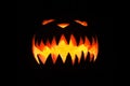 Spooky pumpkin in dark