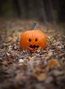 Spooky pumpkin on a path in leaves