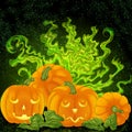 Spooky pumpkins on the magic foggy background