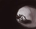 Spooky scary dark illustration. A huge black spider in a tunnel or cave that looks with red eyes at the camera. arachnophobia