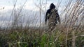 A spooky, scary ghostly hooded figure. Standing in a field. With a low camera angle, hidden in grass