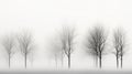 spooky season white foggy ghostly