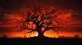 Spooky silhouette of a haunted tree against a fiery orange sunset Royalty Free Stock Photo