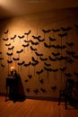 spooky silhouettes of bats and spiders on a wall