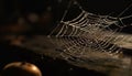 Spooky spider web traps dew drops outdoors generated by AI Royalty Free Stock Photo