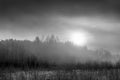 Spooky sunrise in Lithuania Royalty Free Stock Photo