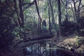 Spooky Tiergarten in Berlin Royalty Free Stock Photo