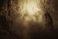 Spooky Tree in Night Mist Royalty Free Stock Photo