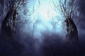 Spooky Tree in Night Mist Royalty Free Stock Photo