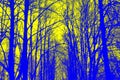 Spooky trees, a mystical backdrop for Halloween. Nightmare in the woods. Scary yellow and blue trees at night