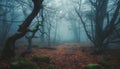 Spooky wilderness dark foliage, wet footpath, mysterious silhouette, horror lurking generated by AI Royalty Free Stock Photo