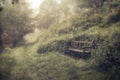 A spooky wooden bench by a path going into a forest on a foggy day, with a blurred, abstract, grunge, vintage edit