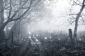 A spooky woodland path in winter with ghostly lights floating along the path. With a grunge, vintage edit Royalty Free Stock Photo