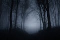 Spooky woods at night on Halloween Royalty Free Stock Photo