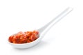 Spoon of ajvar Royalty Free Stock Photo