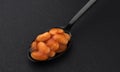 Spoon of baked beans in tomato sauce isolated on black background Royalty Free Stock Photo