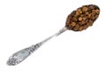 Spoon with bee bread Royalty Free Stock Photo
