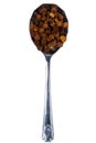 Spoon with bee bread Royalty Free Stock Photo