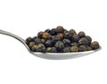 Spoon of black pepper grains, macro closeup Royalty Free Stock Photo