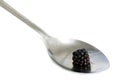 Spoon of Blackberries Royalty Free Stock Photo