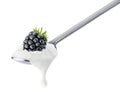Spoon of blackberry yogurt
