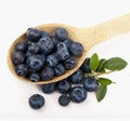 Spoon with blueberries Royalty Free Stock Photo