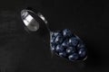 Spoon with blueberries.jpg