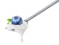 Spoon of blueberry yogurt Royalty Free Stock Photo